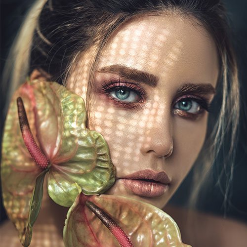 الرئيسية image gallery 01
